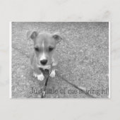 Postkarte (Vorderseite)