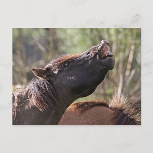 Postkarte (Vorderseite)