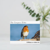 Postkarte (Stehend Vorderseite)