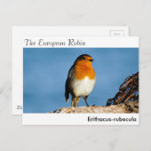 Postkarte (Vorne/Hinten)