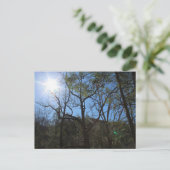 Postkarte (Stehend Vorderseite)