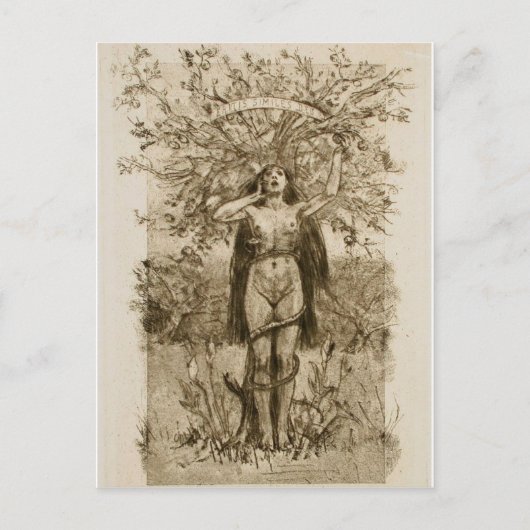 Postkarte (Vorderseite)