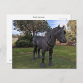 Postkarte (Vorne/Hinten)