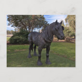 Postkarte (Vorderseite)