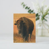 Postkarte (Stehend Vorderseite)