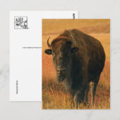 Postkarte (Vorne/Hinten)