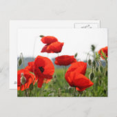 Postkarte (Vorne/Hinten)