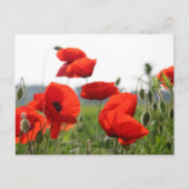 Postkarte (Vorderseite)