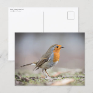  POSTKARTE