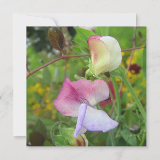 Postkarte (Vorderseite)