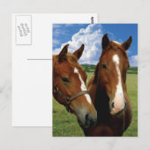 Postkarte (Vorne/Hinten)