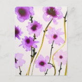 Postkarte (Vorderseite)