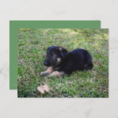 Postkarte (Vorne/Hinten)