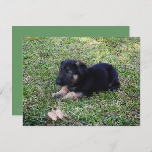 Postkarte (Vorne/Hinten)