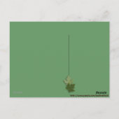 Postkarte (Rückseite)