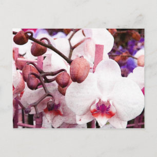 Postkarte