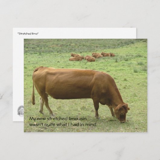 Postkarte (Vorne/Hinten)