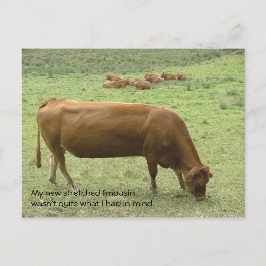 Postkarte (Vorderseite)