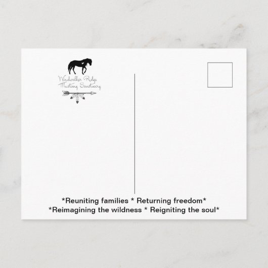 Postkarte (Rückseite)