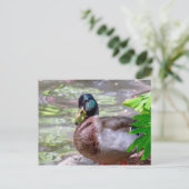 Postkarte (Stehend Vorderseite)
