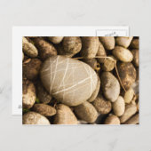 Postkarte (Vorne/Hinten)