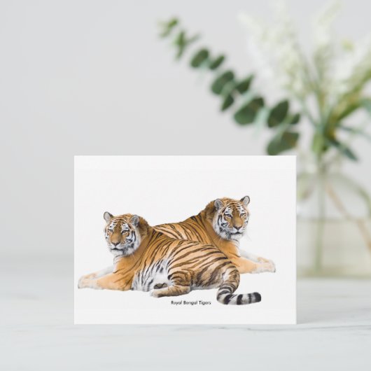 Postkarte (Stehend Vorderseite)