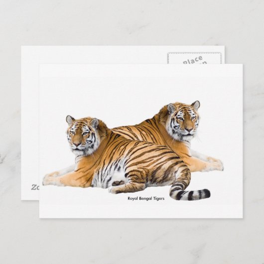 Postkarte (Vorne/Hinten)