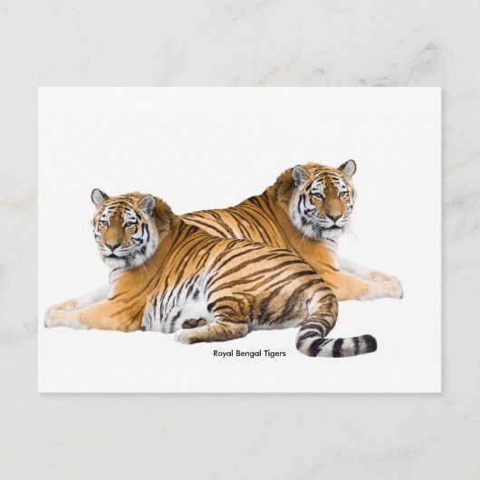 Postkarte (Vorderseite)