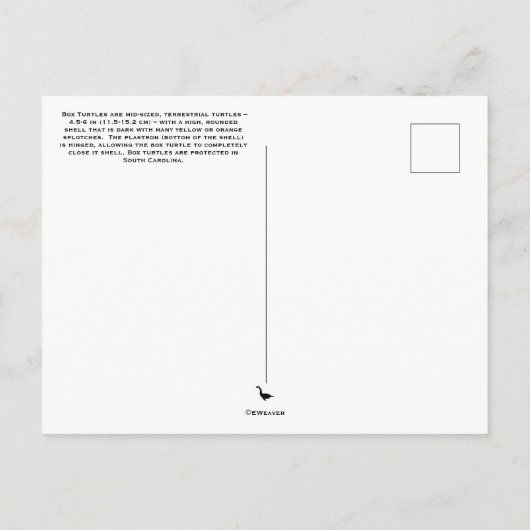 Postkarte (Rückseite)