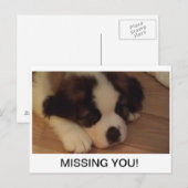 Postkarte (Vorne/Hinten)