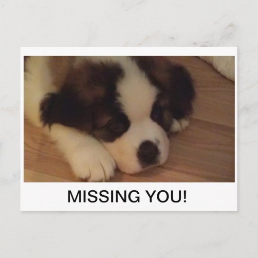 Postkarte (Vorderseite)