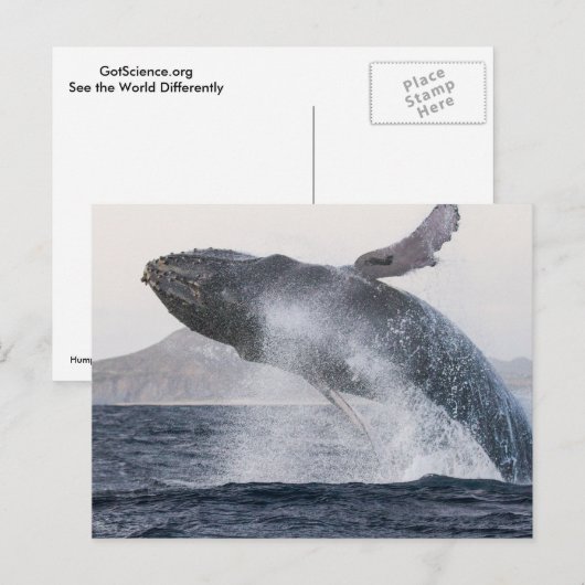 Postkarte (Vorne/Hinten)