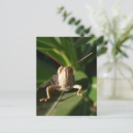 Postkarte (Stehend Vorderseite)