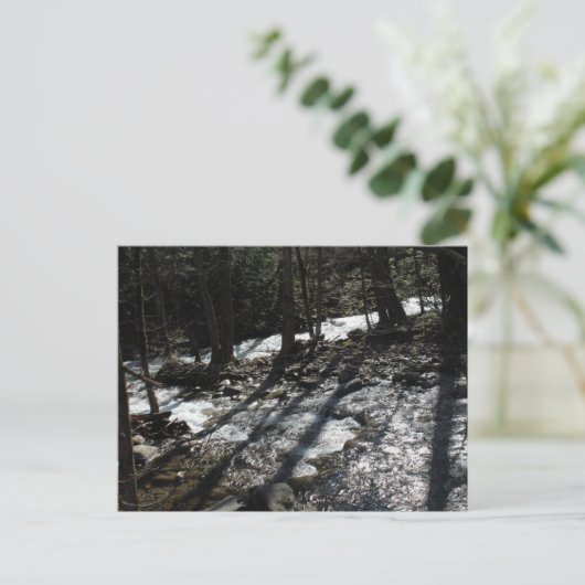 Postkarte (Stehend Vorderseite)