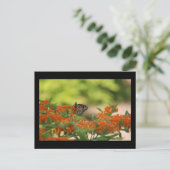 Postkarte (Stehend Vorderseite)