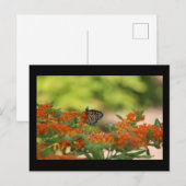 Postkarte (Vorne/Hinten)