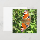 Postkarte (Vorne/Hinten)