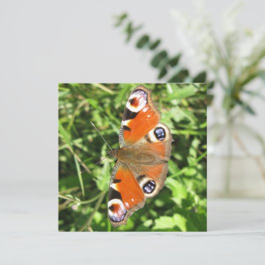 Postkarte (Stehend Vorderseite)