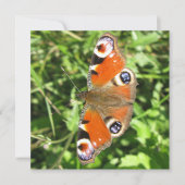 Postkarte (Vorderseite)