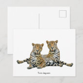 Postkarte (Vorne/Hinten)