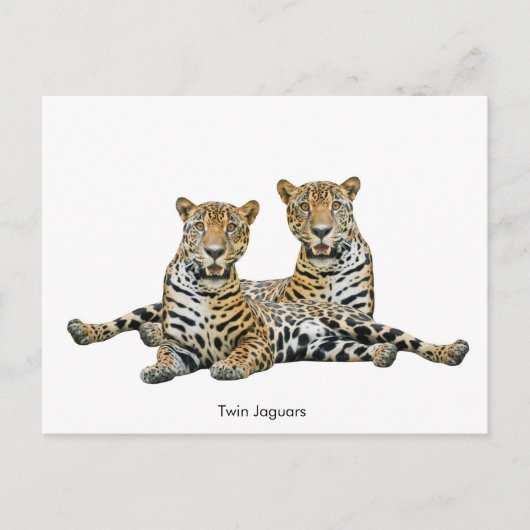 Postkarte (Vorderseite)