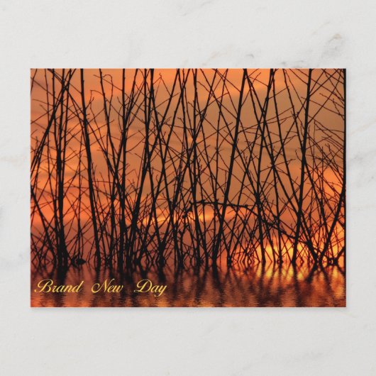 Postkarte (Vorderseite)