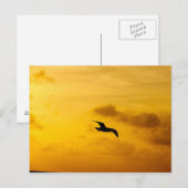 Postkarte (Vorne/Hinten)