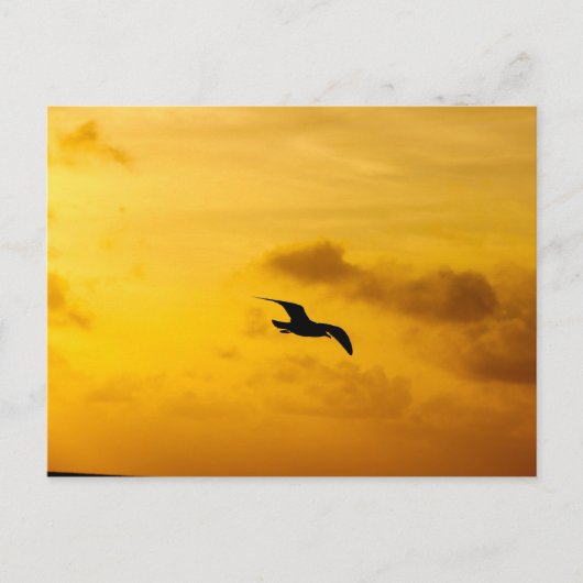Postkarte (Vorderseite)