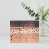 Postkarte (Stehend Vorderseite)