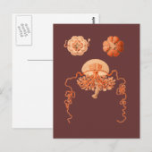 Postkarte (Vorne/Hinten)