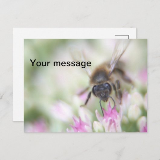 Postkarte (Vorne/Hinten)