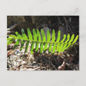 Postkarte (Vorderseite)