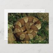 Postkarte (Vorne/Hinten)