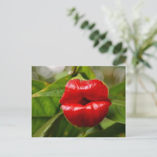 Postkarte (Stehend Vorderseite)